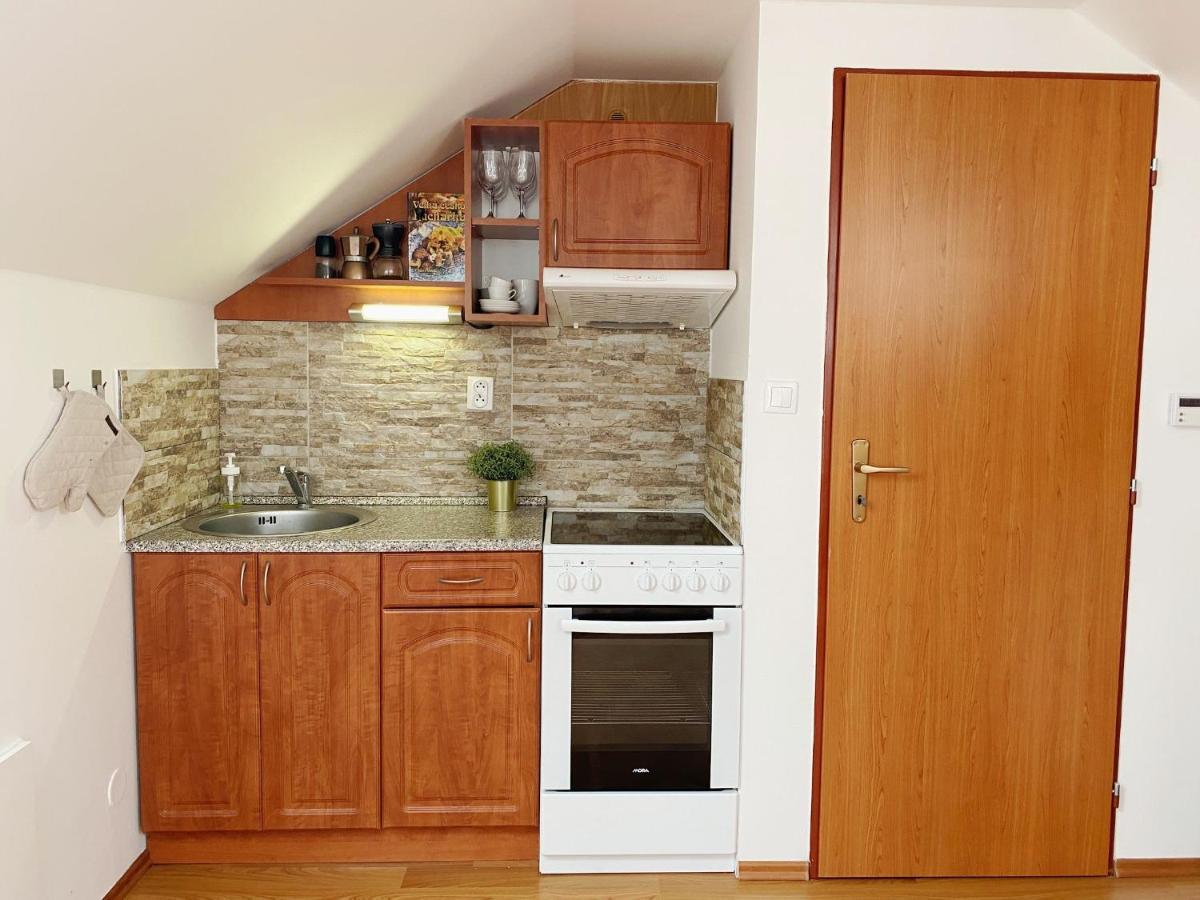 Apartman Karlovice Karlovice  Buitenkant foto